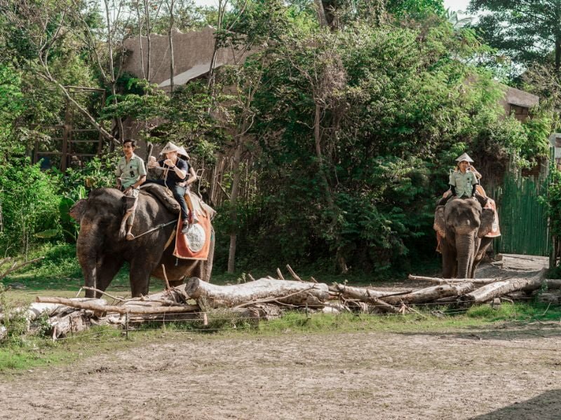 Bali Safari Marine Park Entrance Fee & Attraction (5)