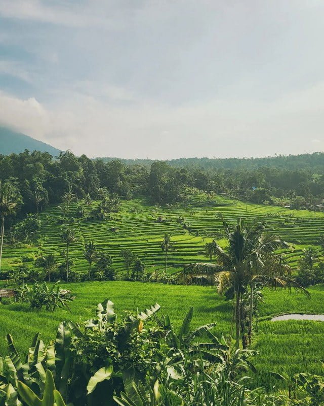 Bali Twin Lakes Viewpoint Bali Car Driver Cheap Car Rental in bali (3)