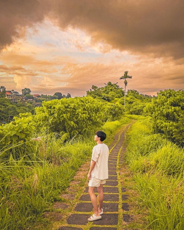 Campuhan Ridge Walk Bali Car Driver Cheap Car Rental in bali (4)
