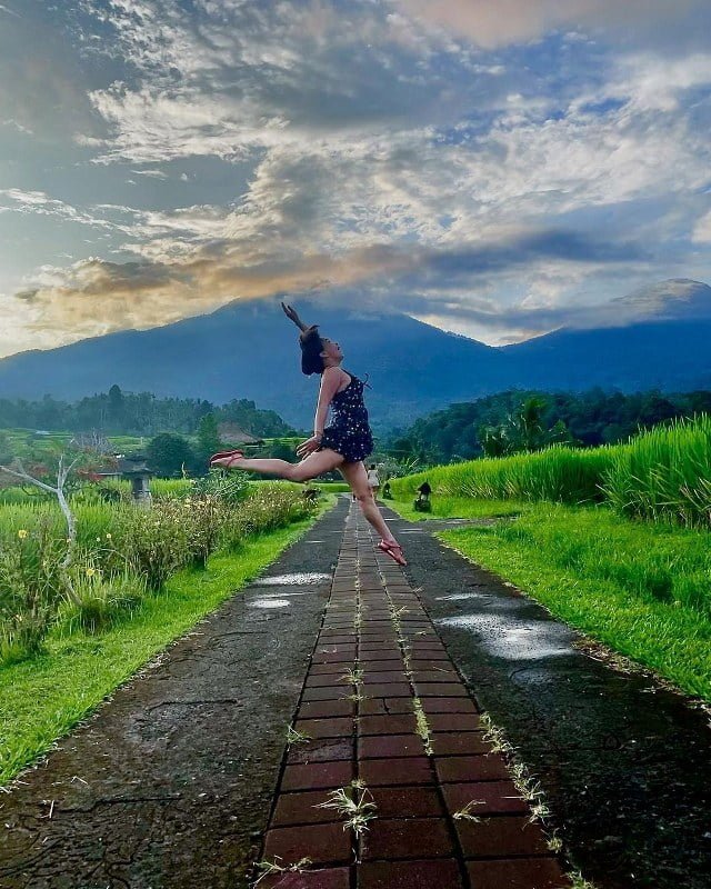 Jatiluwih Rice Terraces Bali Car Driver Cheap Car Rental in bali (4)