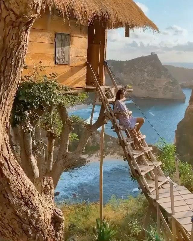 Rumah Pohon Tree House (1)