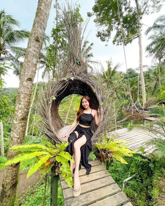 Tegalalang Rice Terraces Bali Car Driver Cheap Car Rental in bali (2)