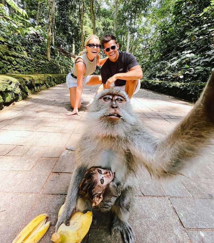 Ubud Monkey Forest Bali Car Driver Cheap Car Rental in bali (1)
