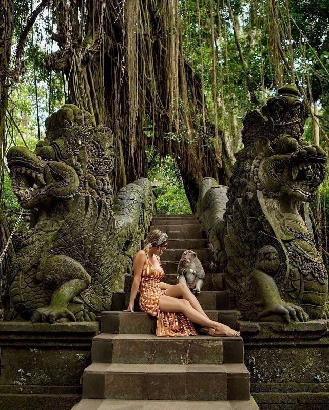 Ubud Monkey Forest Bali Car Driver Cheap Car Rental in bali (3)