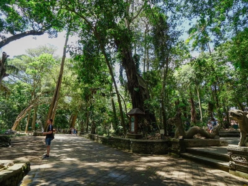 Sacred Monkey Forest Sanctuary Ubud (1)