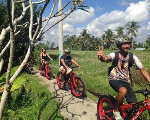 Ubud E-Bike Cycling Tours