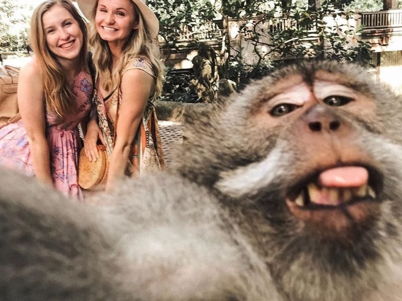 Ubud Monkey Forest Entrance Fee & Attraction 2