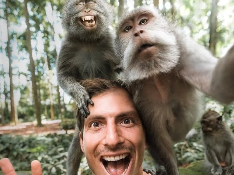 Ubud Monkey Forest Entrance Fee & Attraction